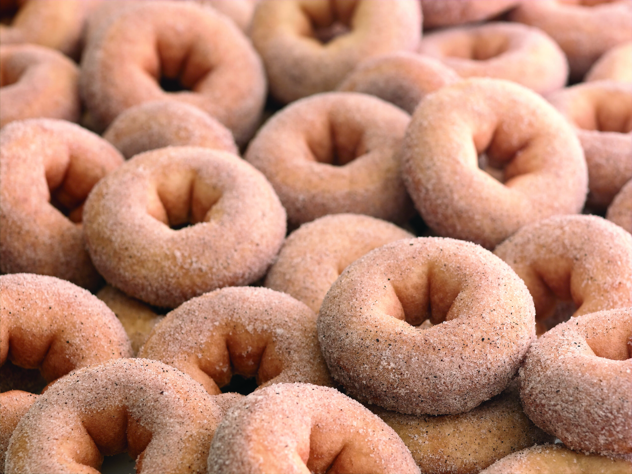 Perfect Cake Donuts