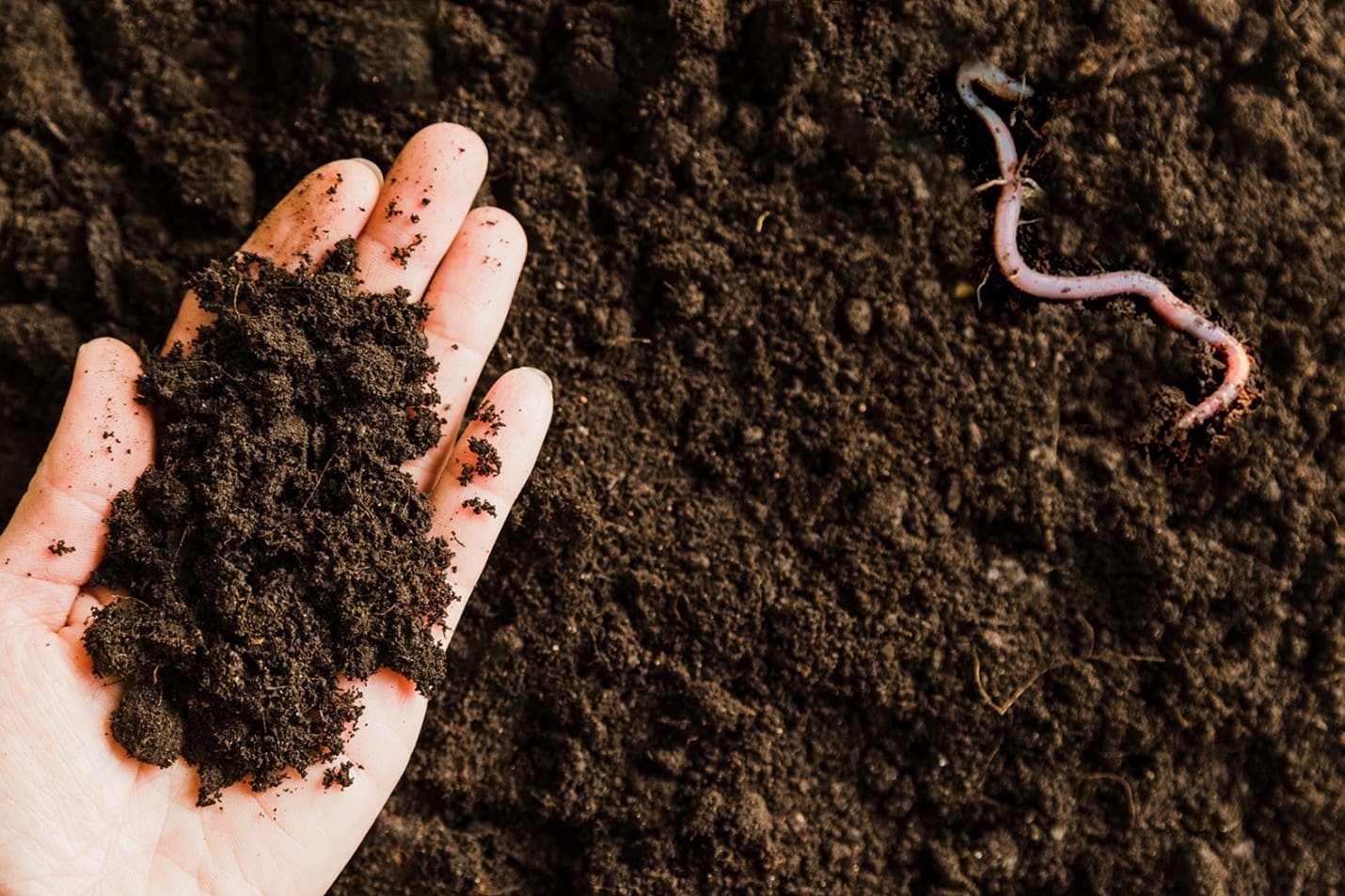 Composting Made Simple